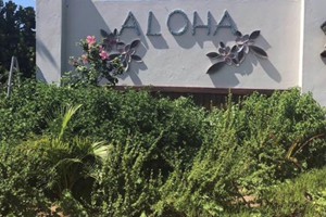 Aloha 14 March 2020 (16)