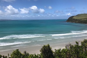 Aloha 14 March 2020 (8)